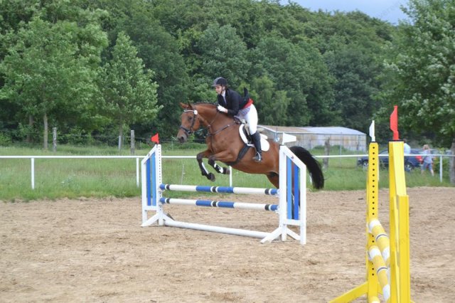 reitertag 2013 96